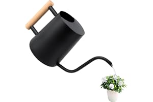 NVIYAM Gießkanne 1L,Giesskanne Zimmerpflanzen Klein Indoor,Giesskanne mit langem Auslauf und komfortablem Holzgriff,Edelstahl Gieskanne Schwarz für Topfpflanzen Sukkulenten,Metall Gartengießkanne für innen