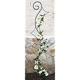 DanDiBo Rankhilfe Metall Schwarz Riva Rankgitter Höhe 148 cm Breite 30 cm Kletterhilfe Bodenstecker Stecker Garten