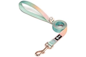 TSPRO Correa Perro Ligero, Color Degradado Correa de Perro con Asa Acolchada y Cierre de Metal para Perros Pequeños a Medianos para Pasear (Amarillo Verde)