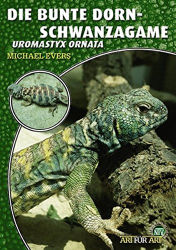 Download Die Bunte Dornschwanzagame: Uromastyx ornata (Art für Art)