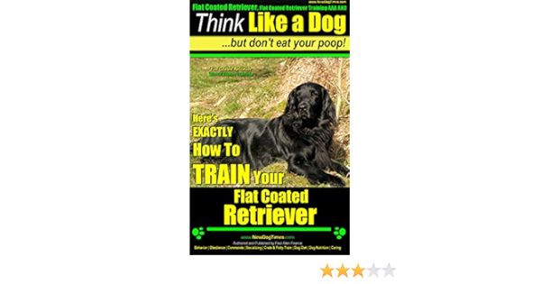 akc flat coated retriever