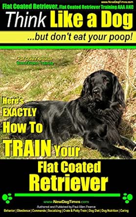 akc flat coated retriever