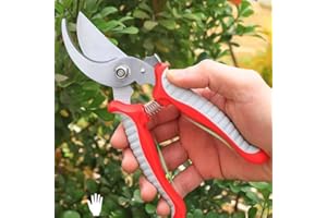 Jütze Baumscheren Rosenschere, Bypass-Gartenscheren Rebenschere für frische Äste, Blumen und Zweige, Hochwertige Stahl-Klingen, Ergonomische, rutschfeste Secateurs
