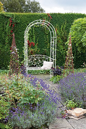 Gardman Englischer Rosenbogen - 3