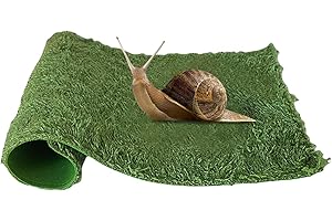 shjxi Tapis pour reptile | 40 × 25 cm - Revêtement de substrat lavable - Tapis de literie pour terrarium - Fournitures pour caméléons, tortues, geckos, lézards, tortues