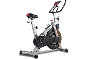 ISE Cyclette da Casa con Resistenza Regolabile, Cyclette per Casa Professionale con Schermo LCD Supporto per Smartphone Exercise Bike per Palestra a Casa