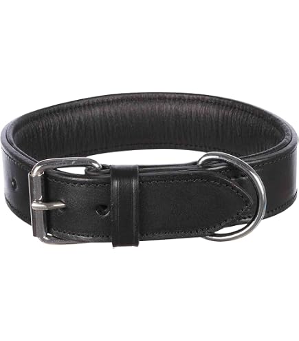 Leder-Hundehalsband Mit Nieten – Schwarz, Halsumfang 51-65 Cm, Breite 40 Mm