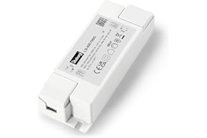 illuburg Trasformatore LED 700mA Corrente Costante 28W - 40W Senza Sfarfallio LED Alimentatore Driver