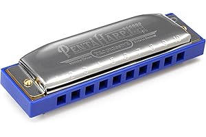 Hohner, armonica a bocca Pentaharp, in chiave di re minore, in acciaio inox (M21BX-DM)