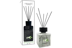 CAMOMILLA TORINO Diffusore profumo per ambienti cubo 500 ml. 12 Fragranze Italy (Muschio Bianco)