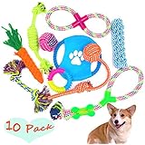 Hundespielzeug Kauspielzeug Interaktives Spielzeug Baumwollknoten Spielset für Hunde Welpen - 10 Teile