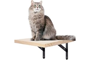 LHYBTM Escalera Gatos Escalada Tumbona Tabla de la Pared Estante, Soporte de Pared para escaleras Muebles de Juego Montado en la Pared Estantes para Gatos Escalar y Jugar en Paredes, 1 peldaños