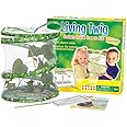 Living Twig Stick Insect Kit