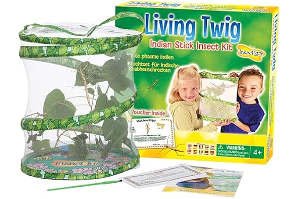 Insect Lore - 6901060 - Jeu Éducatif - La Serre à Phasme