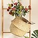 Produktbild TAOtTAO Flower Basket Seegras-Weidenkorb-Weidenkorb-Blumen-Topf-faltender Korb-schmutziger Korb (Beige)