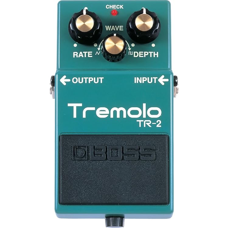 配信機器・PA機器・レコーディング機器 RV-6 Digital Reverb Amazon | BOSS ボス Reverb RV-6 | ディレイ・リバーブ | 楽器