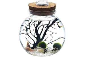 SINK Ecosides LED Aquarium Marimo Kit,Creative Led Night Light Micro Landscape Eco Bottle Glass Terrarium Globe Jar,With Living Moss Balls,Pebbles,Seashell,Black Fan Coral,Gift for Christmas,Wedding Event