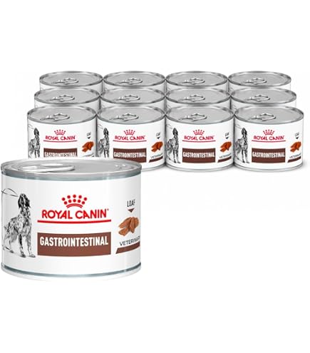 BELLE VOUS Boite Hermetique Alimentaire 500 ml - 6x Boite Rangement