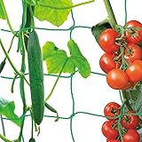 Premium Ranknetz mit großer Maschenweite für den perfekten Wachstum von Tomaten, Gurken und Kletterpflanzen Das Optimale Rank