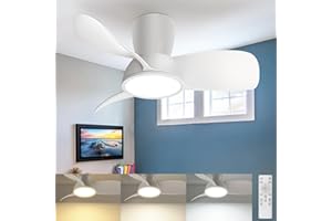 ‎SLOCHI slochi Leiser Deckenventilator mit Beleuchtung 30dB, 54cm Durchmesser Großem Luftvolumen, mit Fernbedienung Timing Funktion, Einstellbare Helligkeit des 3000K/4500K/6000K Deckenleuchte, weiß
