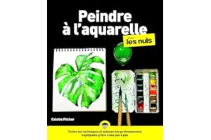 L'Aquarelle pour les Nuls, grand format, 2e éd.
