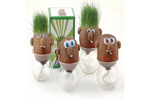 NIOFGJIOH Qingsi 4 Pcs Grass Head Dolls Bonsai Head Grass Doll Self Growing Grass Creative Desktop Green Plants Grass Growing Kit Office Desktop Plant Ornaments.(Random Style)