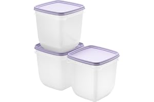 SmartStore Juego de 3 recipientes herméticos con tapa y organizador de frigorífico, 1 L, apto para frigorífico y congelador, cajas de preparación de comida sin BPA, juego de cajas para congelación