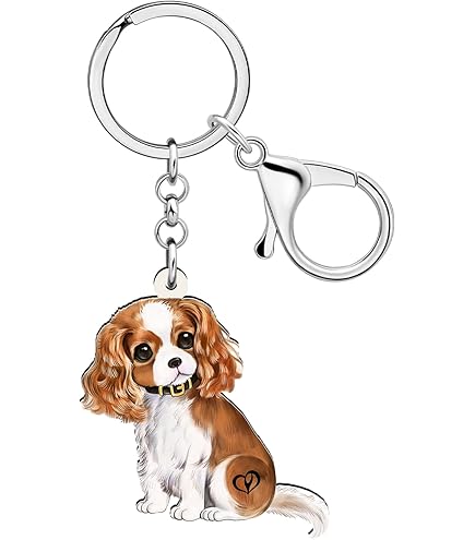 WEVENI Portachiavi in acrilico a forma di cane beagle, accessorio per donne e ragazze, ciondolo per borsa o auto (multicolore