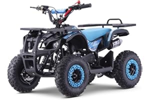 INDALCHESS Miniquad de Gasolina ATV para niños de 49cc I-Panda Azul, niños de 4 a 10 años