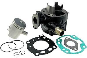 2EXTREME Zylinder 50 kompatibel für Aprilia Motor SR50 Racing SR2000 Ditech Morini LC Suzuki Katana