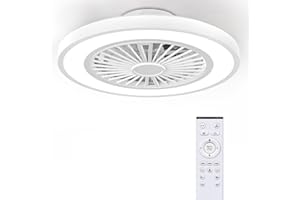 Ateroll Ventilatore da Soffitto con Luce e Telecomando, Motore DC 25W LED 45W (3000K-4500K-6500K), 6 Velocità del Vento Regolabili con Telecomando, Timer(2H/4H), Memoria Luce