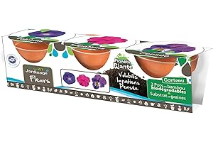 PLANÈTE PLANTE - 3 Pots Biodegradables et Graines À Planter - Kit de Jardinage - 170037 - Bambou - Jardin - Nature - Plante - Fleurs - Jeu pour Enfant - À Partir de 4 Ans