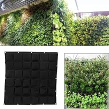jardin vertical pared - Amazon Prime - Amazon.es