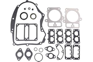 CARKIO JJDD Dichtungssatz für Briggs & Stratton 405577 405777 406777 407677 407777 Motoren ersetzen 694012 499889