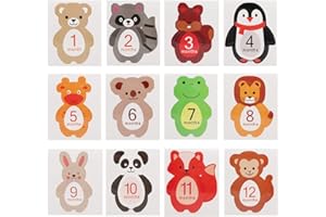 TEROR Adesivo Mese Neonato, 12 Pezzi Adesivo mensile Neonato per Foto ricordo di 1-12 Mesi