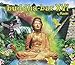 Produktbild Buddha Bar Xvi by VARIOUS ARTISTS (2013-05-04)