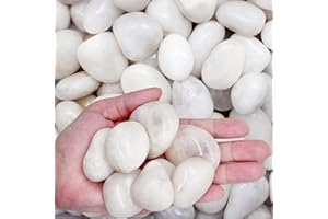 LONTOM 2.2lb White Pebbles Natural Decorative Stone Polished Gravel River Rocks for Plants, Home DIY Decor,Aquarium Gravel,Vase Fillers,Fairy Garden,Landscaping Outdoor Stones