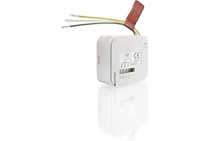 Somfy 2401161 Micro Receptor para Iluminación, 500 W, 230 V, Blanco