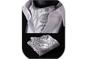 HISDERN Ascot Homme Paisley Floral Cravates Jacquard Mariage Foulard Élégant Ensemble Cravate Classique et Pochette pour Business
