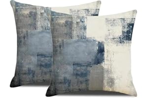 DWDC Fodere per Cuscini 50x50cm Confezione da 2 Federe per Cuscini Arte Astratta, Galleria Contemporanea Blu e Grigia Copricuscini Decorativi per la Casa per Camera da Letto Divano Soggiorno