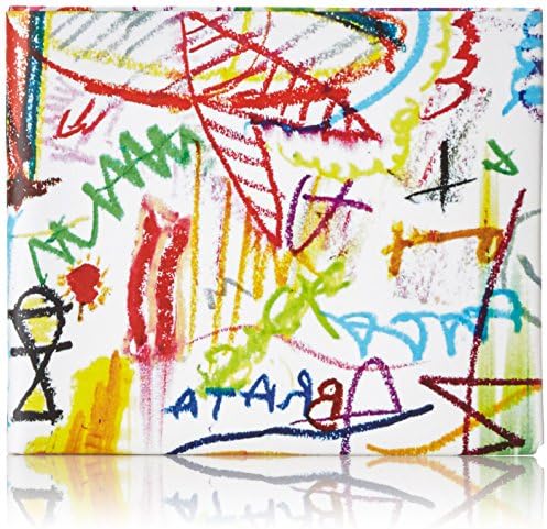 The Scribble Bifold Paper Wallet - Slim - The Walart - Mighty Tyvek Dynomighty