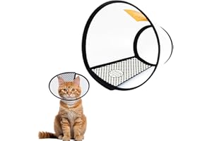 DAJING Cat Cone - Lightweight Plastic Elizabethan Collar for Cats, Mini Dogs, and Rabbits | Prevent Licking and Biting | Soft and Comfortable | Suitable for Recovery and Grooming (M, Black)