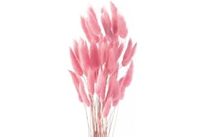 ROOBZE Pampas decorative Rabbittail fiori secchi decorativi 50 pezzi Count Natural fiori secchi decorativi Bouquet, Decorazione camera da letto fiori secchi Indoor Wedding Home Decor (rosa)