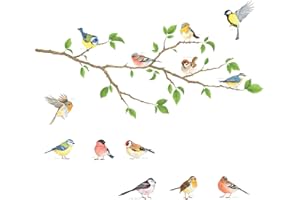 DECOWALL DA-1804 Ptaki ogrodowe na gałęzi drzewa Naklejki ścienne dla dzieci Naklejki ścienne Peel and Stick Zdejmowane naklejki ścienne dla dzieci Przedszkole Sypialnia Salon
