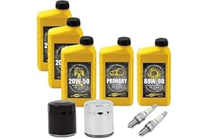 GZM Kit tagliando GARANZIA harley davidson ROAD GLIDE KING TRIKE CUSTOM CLASSIC Olio Motore Cambio Primaria 2 Candele Filtro