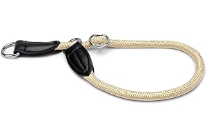 lionto Hundhalsband i slitstark nylon för träning, 30 cm långt, 0,8 cm tjockt, strypstopp-halsband i läderimitation med metal