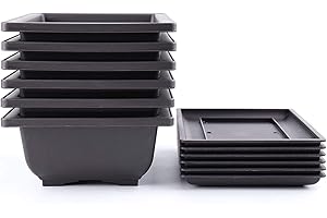 Bekith 6 Stück 23cm Bonsaischale Kunststoff Tief Blumentopf Quadratisch Pflanztopf mit Tablett für Garten Pflanzen Hof Wohnen Zimmer Balkon Büro