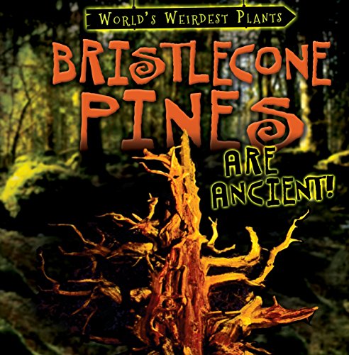 Preisvergleich Produktbild Bristlecone Pines Are Ancient! (World's Weirdest Plants)