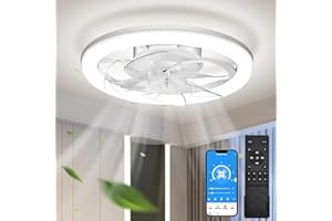 EKDADL Reversibile Ventilatore da Soffitto con Luce LED 50CM Dimmerabile Ventilatore a Soffitto con Luce 3 Colori 6 Velocità Silenzioso Lampadario