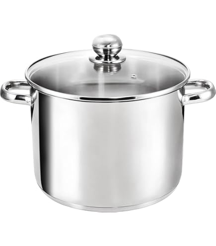 28cm Stainless Steel Stock Pot With Glass Lid - Induction Compatible Cooking Pot
